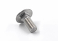 Petrochemical Facilities Stainless Steel Carriage Bolts DIN603 Big Fastening Force supplier
