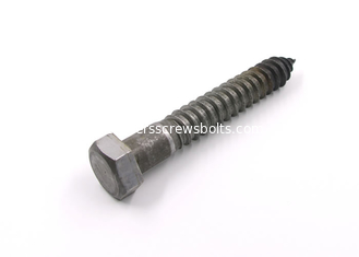 China 5 Inch Long Steel Wood Screws , Field Construction Structure Hex Lag Bolts supplier