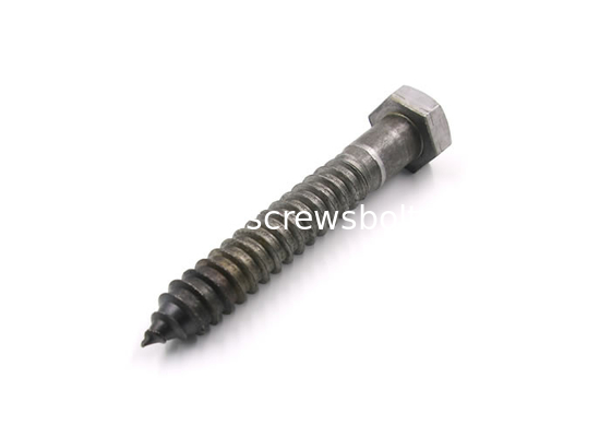 5 Inch Long Steel Wood Screws , Field Construction Structure Hex Lag Bolts supplier